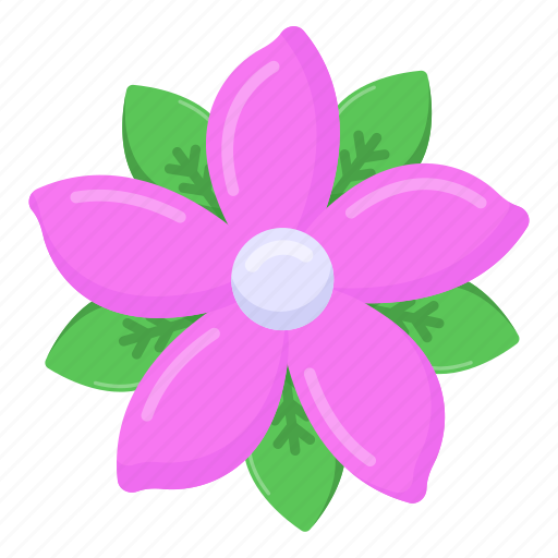 Jasmine, flower, floweret, nature, botany icon - Download on Iconfinder