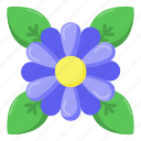 bellis perennis, daisy, flower, floweret, nature