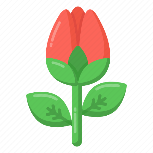 Tulip, flower, floweret, nature, tulipa icon - Download on Iconfinder