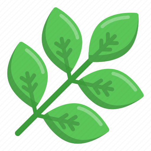 Leaves, leaflet, organic, nature, botany icon - Download on Iconfinder