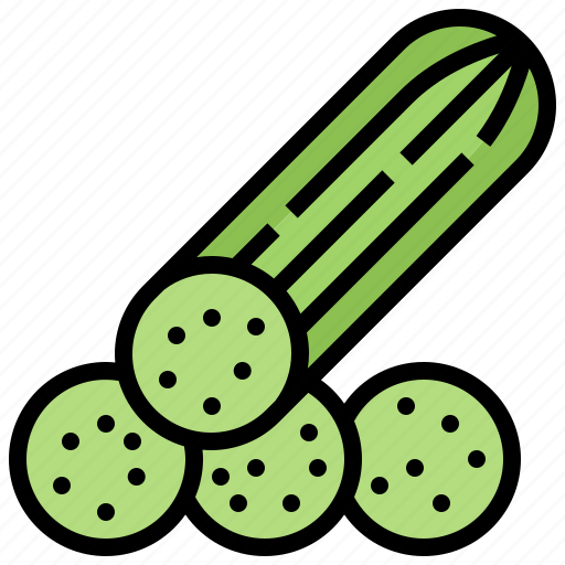 Cucumber, fresh, fruit, healthy, vegetable icon - Download on Iconfinder