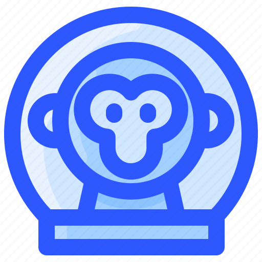 Astronaut, helmet, monkey, space, suit icon - Download on Iconfinder
