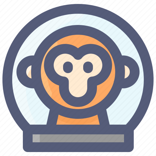 Astronaut, helmet, monkey, space, suit icon - Download on Iconfinder