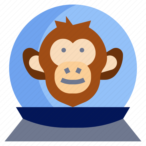 Monkey, space, suit, animals, equipment icon - Download on Iconfinder