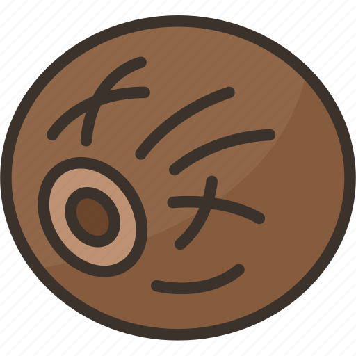 Allspice, pepper, seasoning, ingredient, aroma icon - Download on Iconfinder