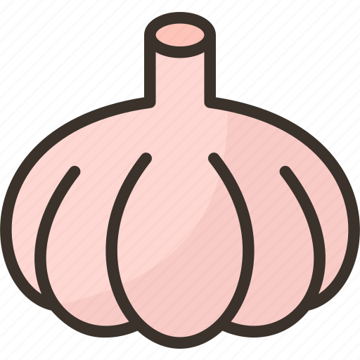 Garlic, spice, aromatic, ingredient, cooking icon - Download on Iconfinder
