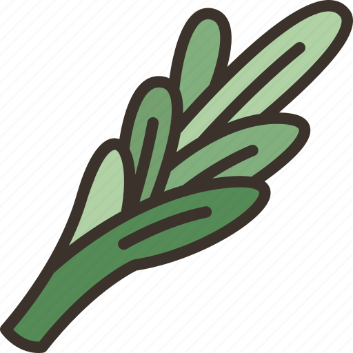 Rosemary, ingredient, aromatic, herbal, plant icon - Download on Iconfinder