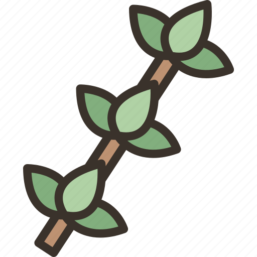 Thyme, twig, spice, herb, cuisine icon - Download on Iconfinder