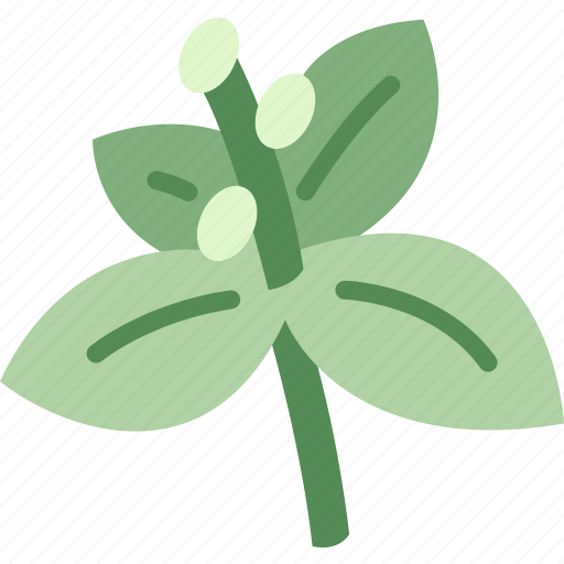 Basil, leaves, vegetable, herb, seasoning icon - Download on Iconfinder