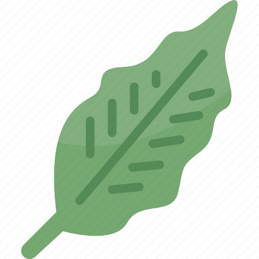 Bay, leaf, ingredient, aroma, herbal icon - Download on Iconfinder