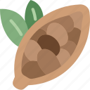 cocoa, pods, chocolate, plant, fruit