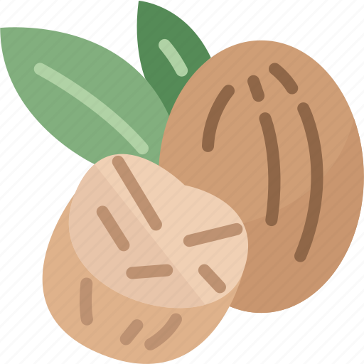 Nutmeg, spice, condiment, ingredient, cooking icon - Download on Iconfinder