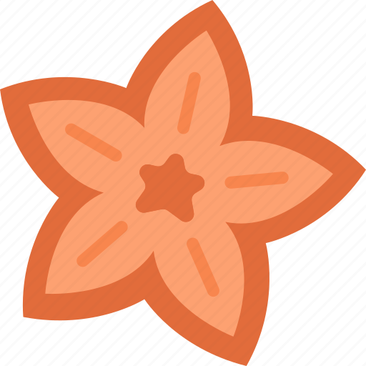 Star, anise, cooking, seasoning, ingredient icon - Download on Iconfinder