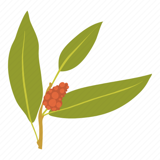 Bearberry, berry, cartoon, flavoring, food, juniper, nature icon - Download on Iconfinder