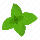 cartoon, flavoring, green, leaf, mint, nature, plant