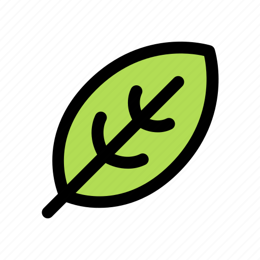 Leaf, green, basil, bay leaf, nature, plant, ecology icon - Download on Iconfinder