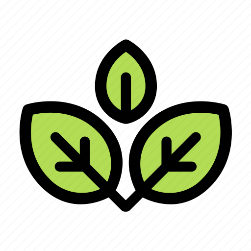 Mint, leaf, leaves, plant, nature, herb, green icon - Download on Iconfinder