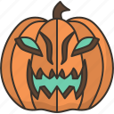 carved, pumpkin, halloween, decoration, festival