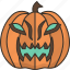 carved, pumpkin, halloween, decoration, festival 