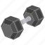 dumbbell, weight, exerciser, gym, tool, exercise, lifting 