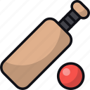 cricket, ball, game, sport, competition
