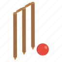 cricket wicket, sports accessory, sports equipment, stump wicket, wicket