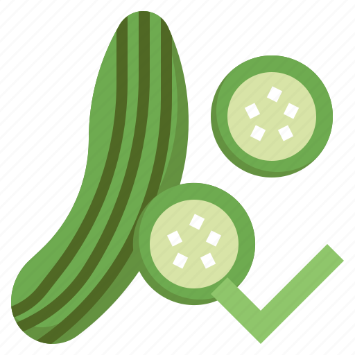 Cucumber, nutrition, healthy, food, check, mark, diet icon - Download on Iconfinder