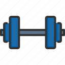 bodybuilding, dumbbell, exercise, fitness, gym, sport, weight
