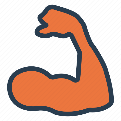 Arm, body, exercise, fitness, gym, muscle, sport icon - Download on Iconfinder