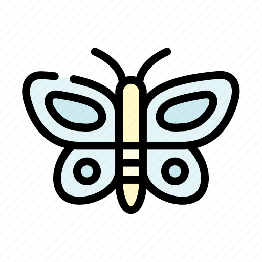 Bug, butterfly, nature, spring icon - Download on Iconfinder