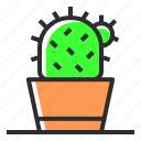 spring, season, cactus, plant
