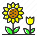 spring, season, sunflower, flower