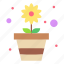 pot, blossom, flora, flower, garden 