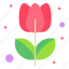 tulip, flower, grow, nature, spring 