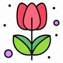 tulip, flower, grow, nature, spring