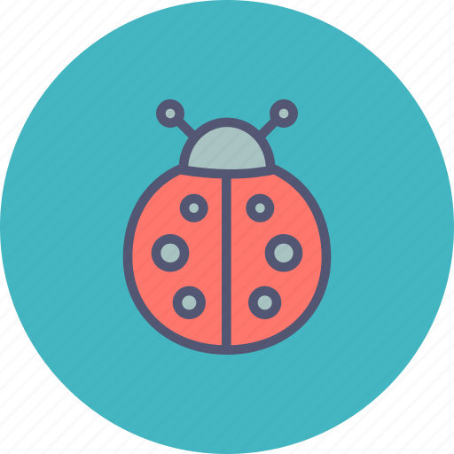 Autumn, bug, insect, ladybug, spring icon - Download on Iconfinder