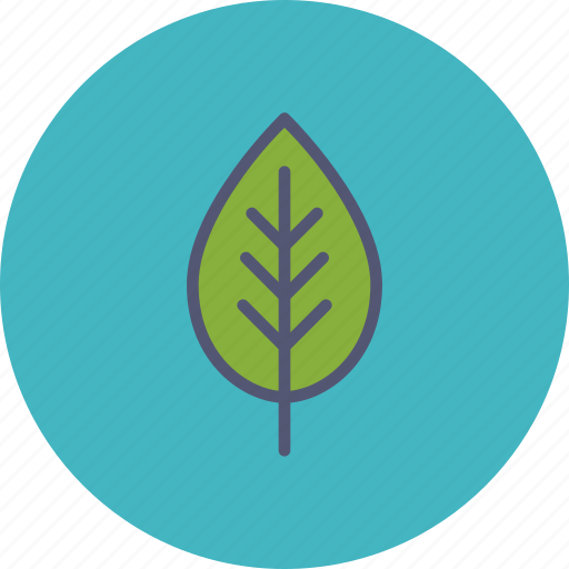 Ecology, green, leaf, plant, spring icon - Download on Iconfinder