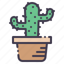 cactus, pot, plant, garden, gardening