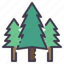 pines, tree, christmas, forest, pine