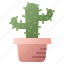 cactus, pot, plant, garden, gardening 