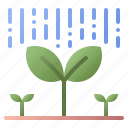 rain, rainy, growth, plant, seeding
