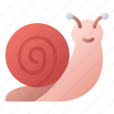snail, slug, nature, shell, slow