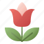 tulip, flower, blossom, bloom, spring 