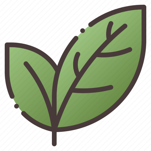 Leaves, spring, season, leaf, green icon - Download on Iconfinder