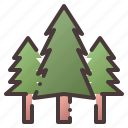 pines, tree, christmas, forest, pine