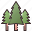 pines, tree, christmas, forest, pine 