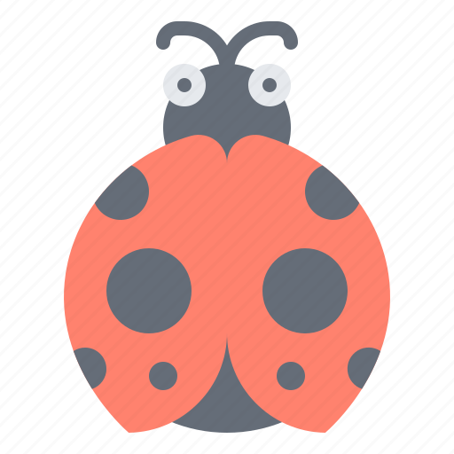 Ladybug, bug, insect, spring, beetle icon - Download on Iconfinder