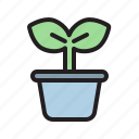 plant, seeding, pot, growth, gardening