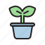 plant, seeding, pot, growth, gardening 