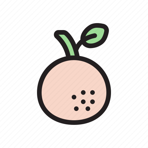 Orange, fruit, healthy, organic icon - Download on Iconfinder